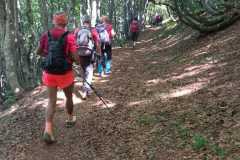 IMG-20250608-WA0036