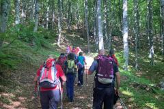 IMG-20250608-WA0043