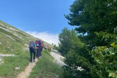 IMG-20250608-WA0047