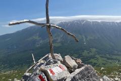 IMG-20250608-WA0053