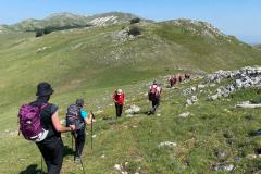 IMG-20250608-WA0059