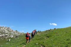 IMG-20250608-WA0067