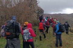 IMG_20250330_090353