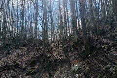 IMG_20250330_103942