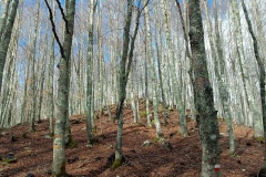 IMG_20250330_103952