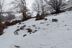 IMG_20250330_113859