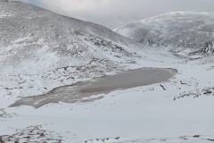 IMG_20250330_120208
