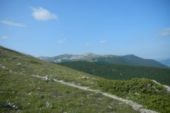 DSCN2503