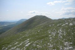 DSCN2521