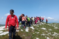 IMG_20230618_110558