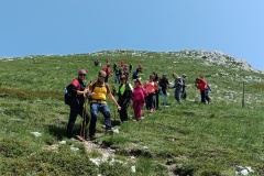 IMG_20230618_120017