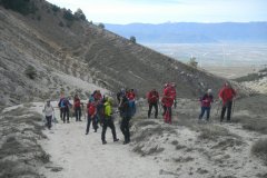 DSCN2371