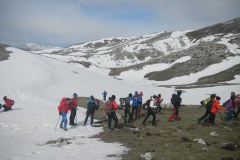 DSCN2384