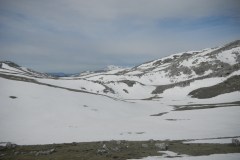 DSCN2388