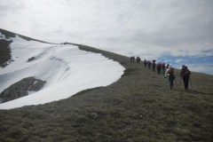 DSCN2394