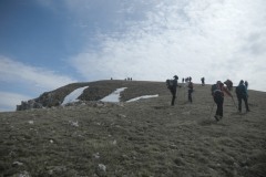 DSCN2397