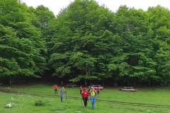 FB_IMG_1685344550609