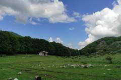 FB_IMG_1685344566114