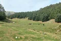 IMG-20240908-WA0046