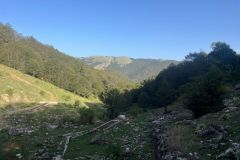 IMG-20240908-WA0081