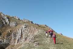 IMG-20240908-WA0084