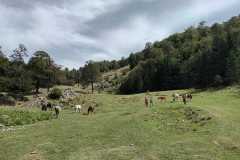 IMG-20240908-WA0094