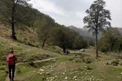 IMG-20240908-WA0105
