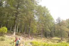 IMG-20240908-WA0106