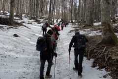 IMG-20250202-WA0033