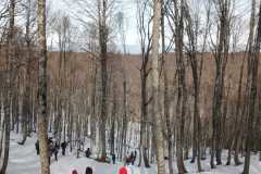 IMG-20250202-WA0034