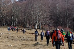 IMG_20250202_104605