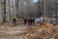 IMG_20250202_131733