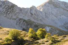 FB_IMG_1696794262655