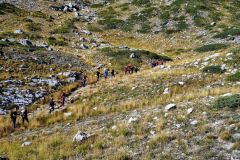 IMG-20231008-WA0017