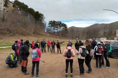 IMG-20250316-WA0012