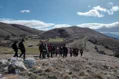 IMG-20250316-WA0015