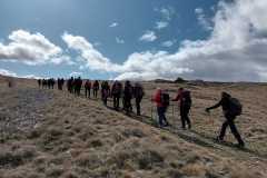 IMG-20250316-WA0018