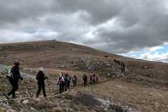 IMG-20250316-WA0019