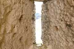 IMG-20250316-WA0113