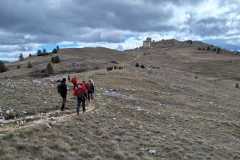IMG-20250316-WA0117
