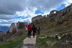 IMG-20250316-WA0118
