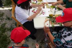 IMG-20260607-WA0112