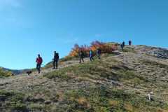 IMG-20241013-WA0012