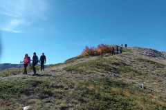 IMG-20241013-WA0013