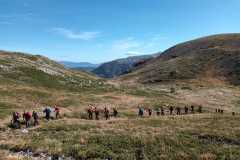 IMG-20241013-WA0017