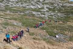 IMG-20241013-WA0018