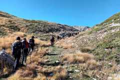 IMG-20241013-WA0020