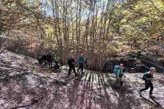 IMG-20241013-WA0021