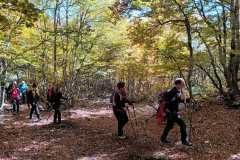 IMG-20241013-WA0022