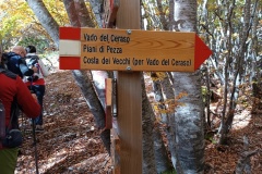 IMG_20241013_093056